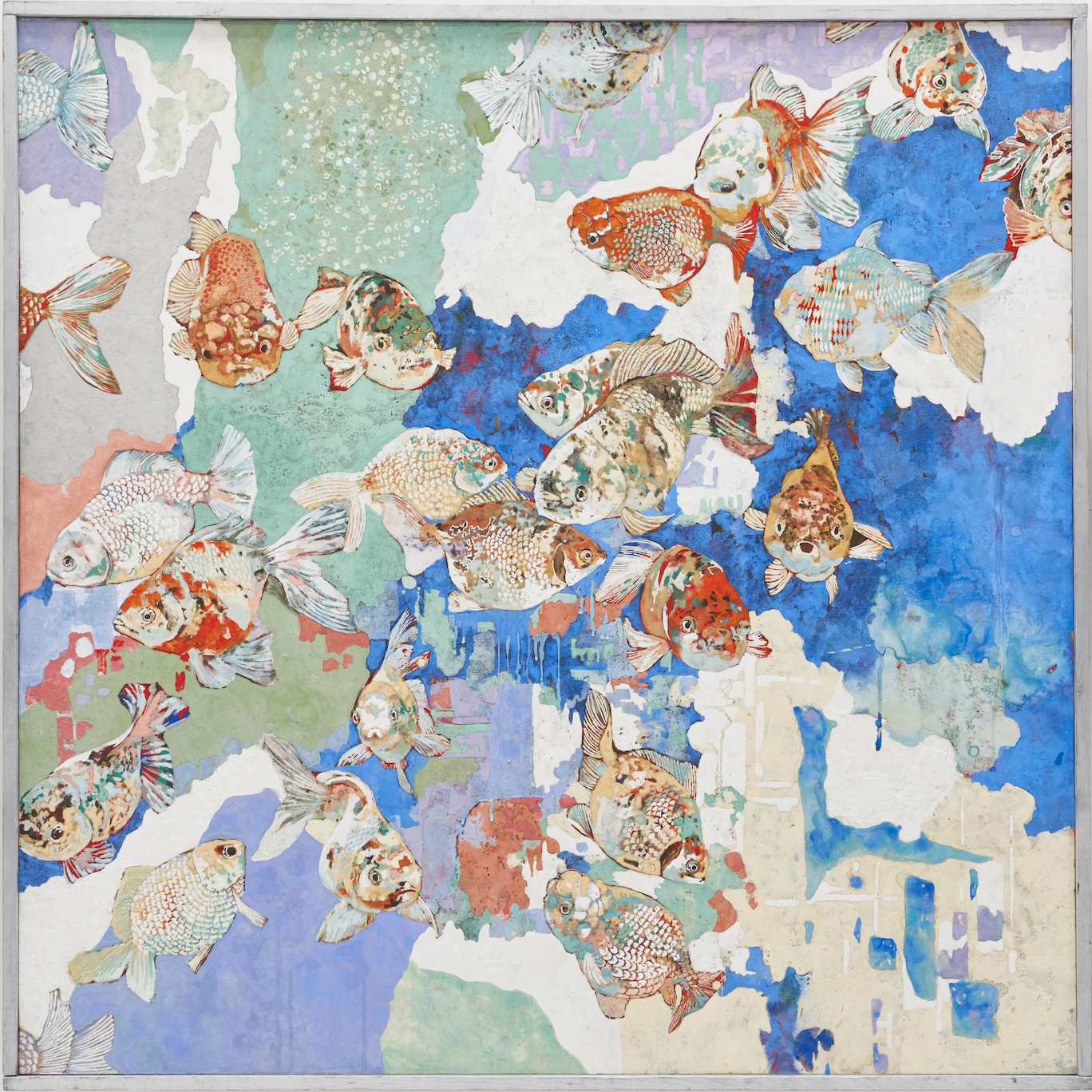 雲を泳ぐの作品画像