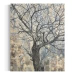 阿部エリカの画像