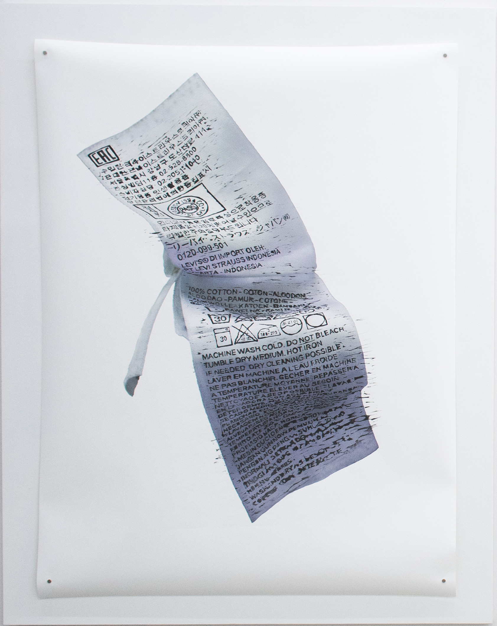 宇都宮三帆の作品画像