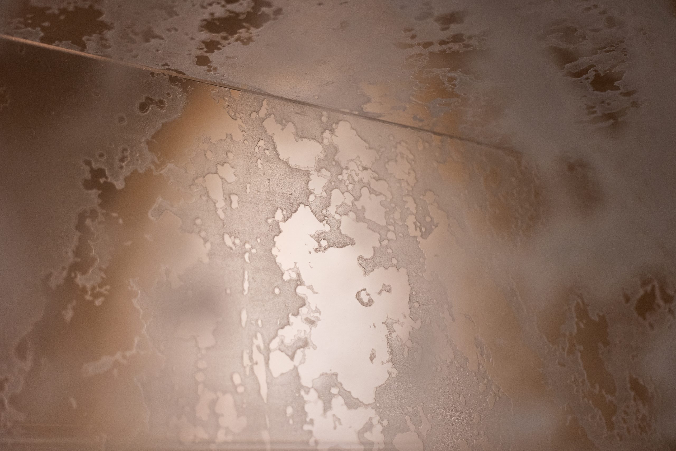 永井本の作品画像