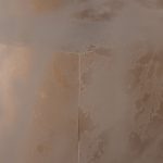 永井本さんの画像