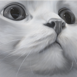 【2024 奨励賞 Encouragement Award​ 】気移りの画像