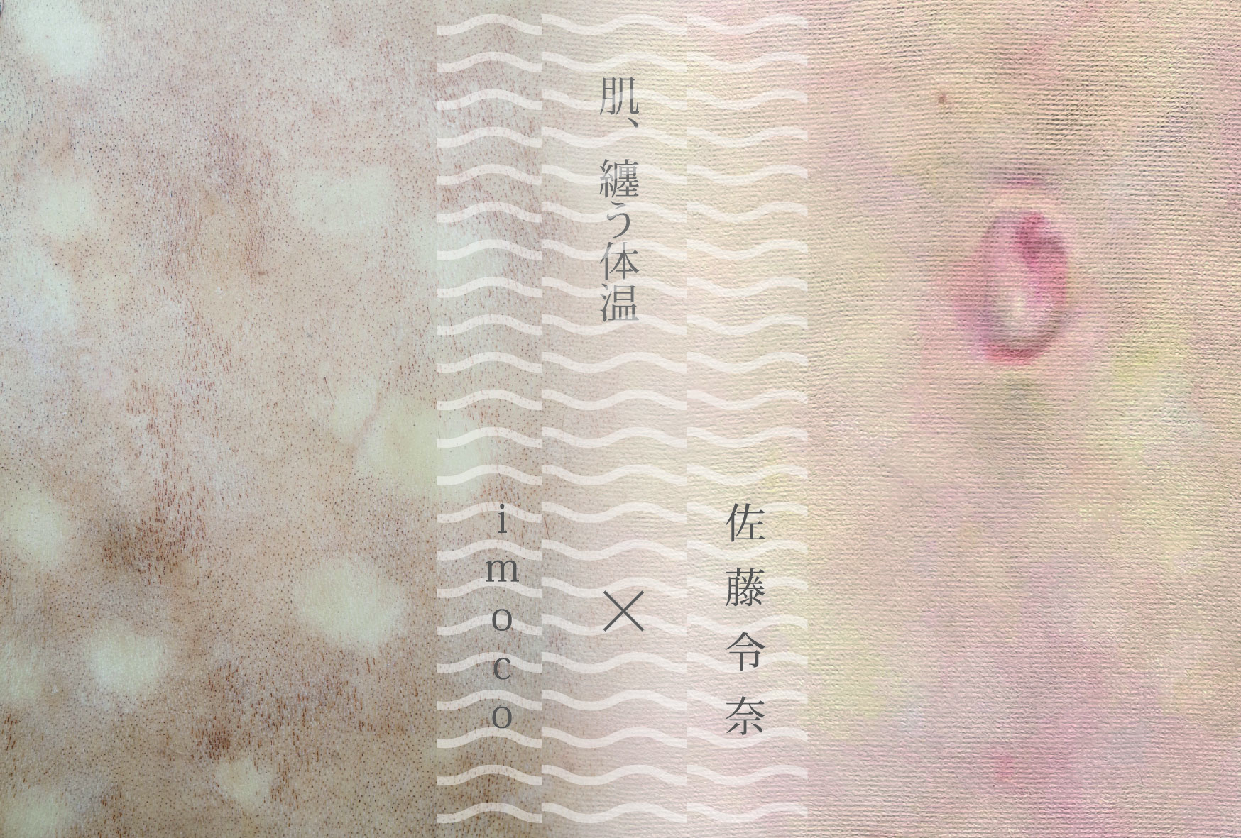 肌、纏う体温の画像